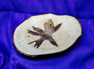 Ambrosia Maple NE Crosscut