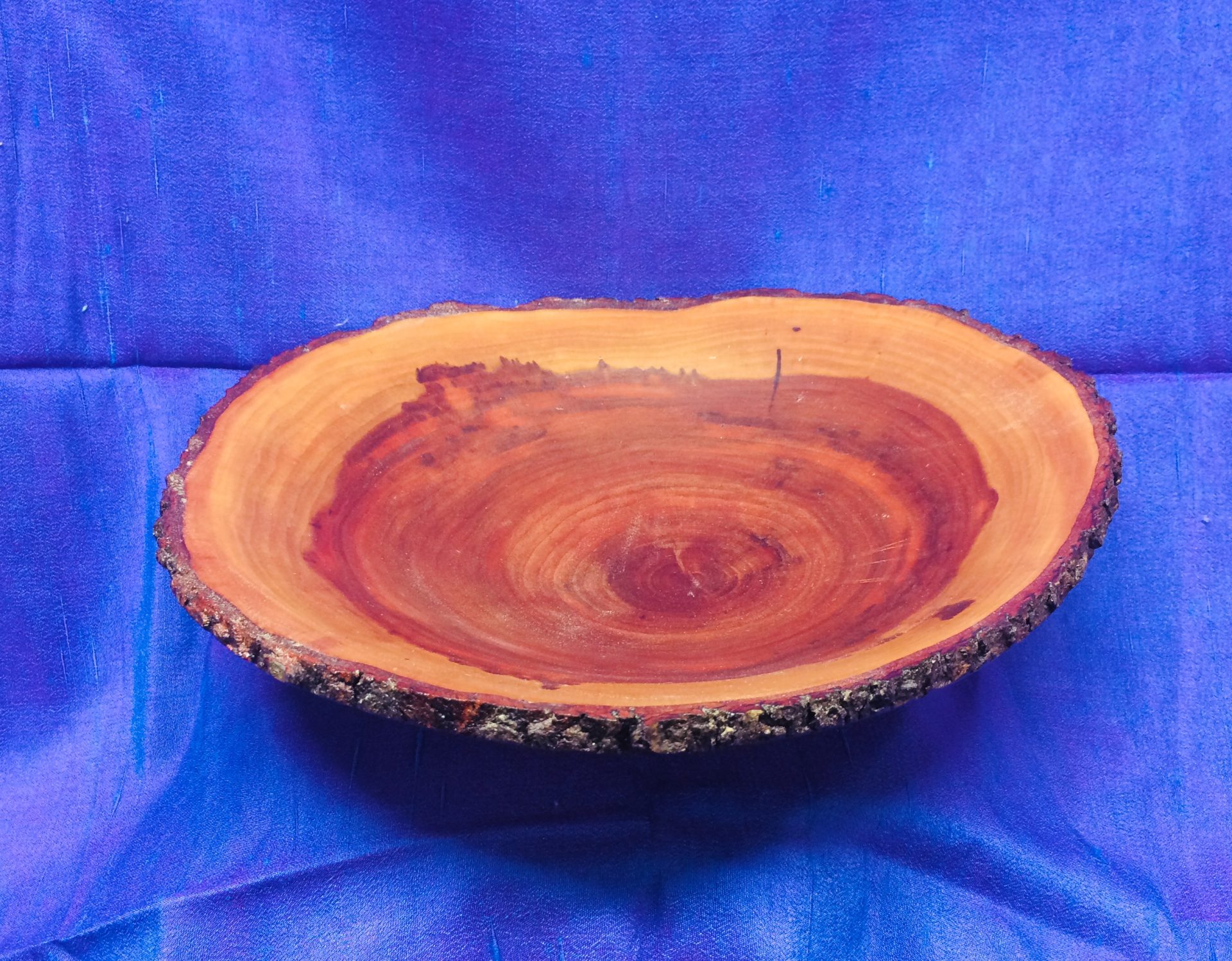 Cherry NE Crosscut 2020 (2)