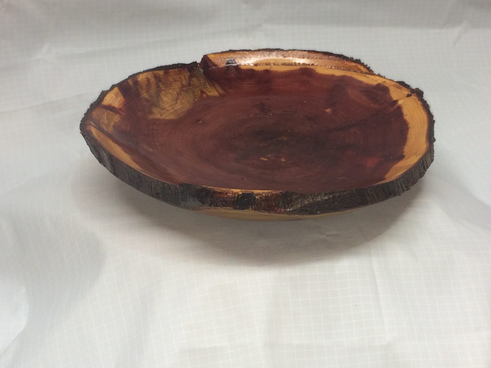 Red Cedar Cross Cut Natural Edge 11in by 2 in.