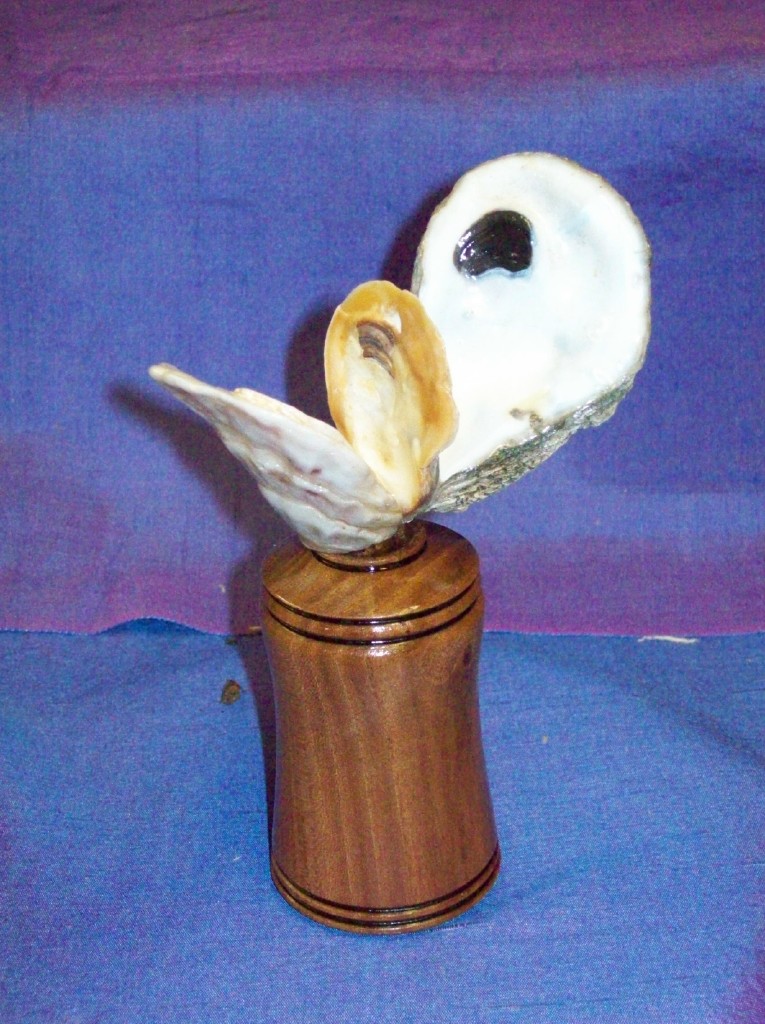 2009 Maple and White Oyster 7 in tall