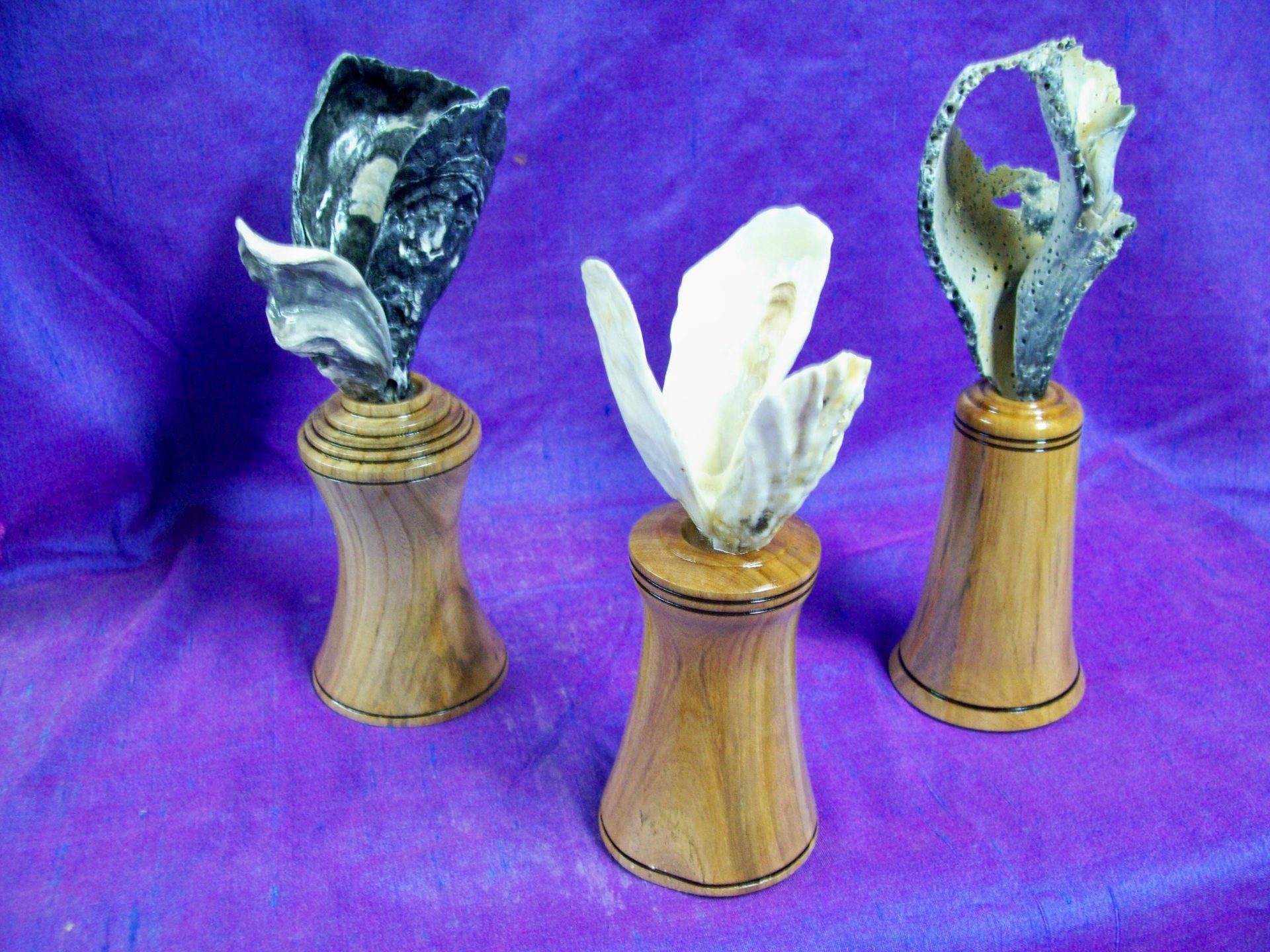 2009 Up From The Sea 3 Maple Pieces