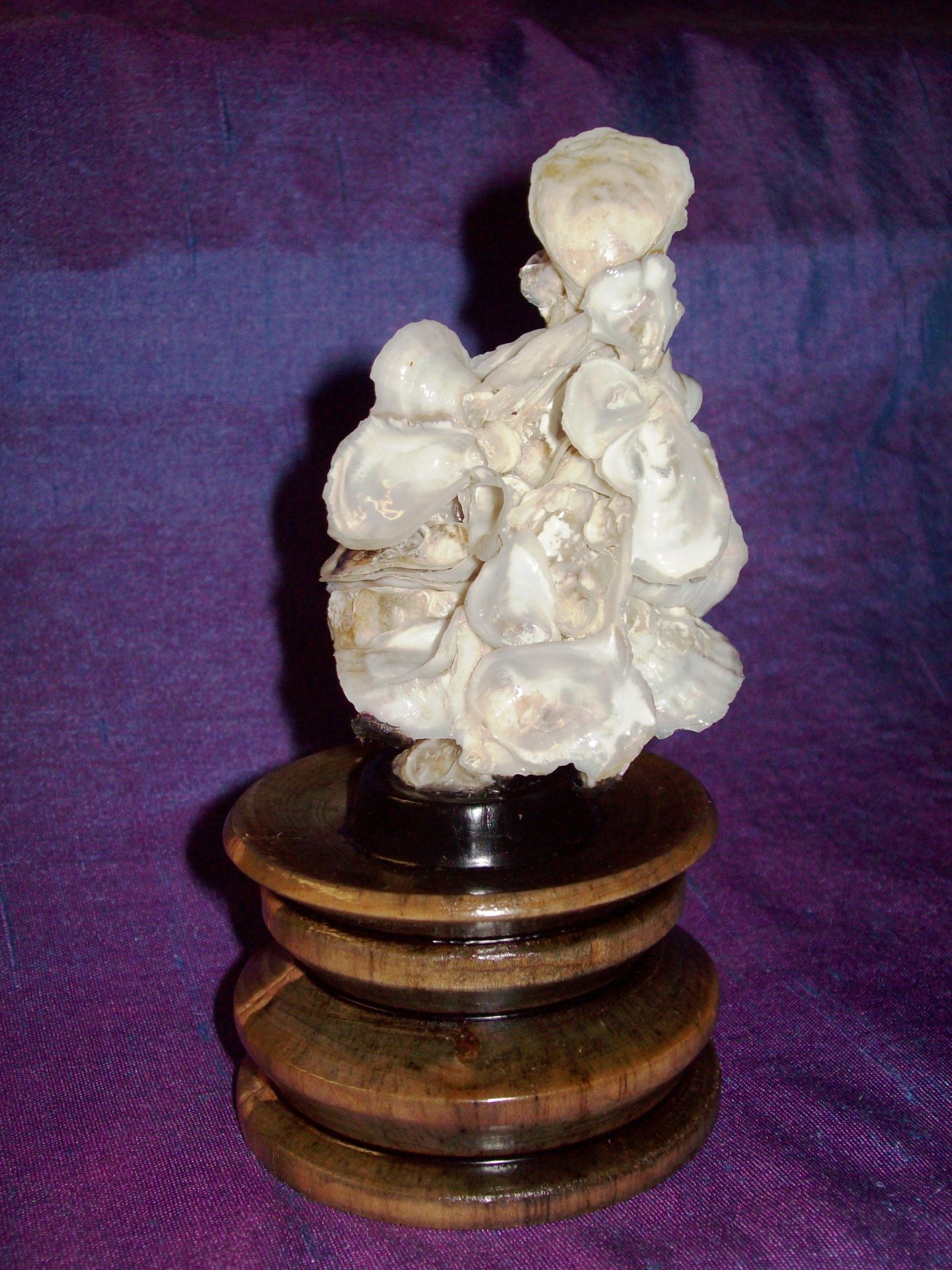 2009 Up From The Sea Oyster Formation on Boxwood Base