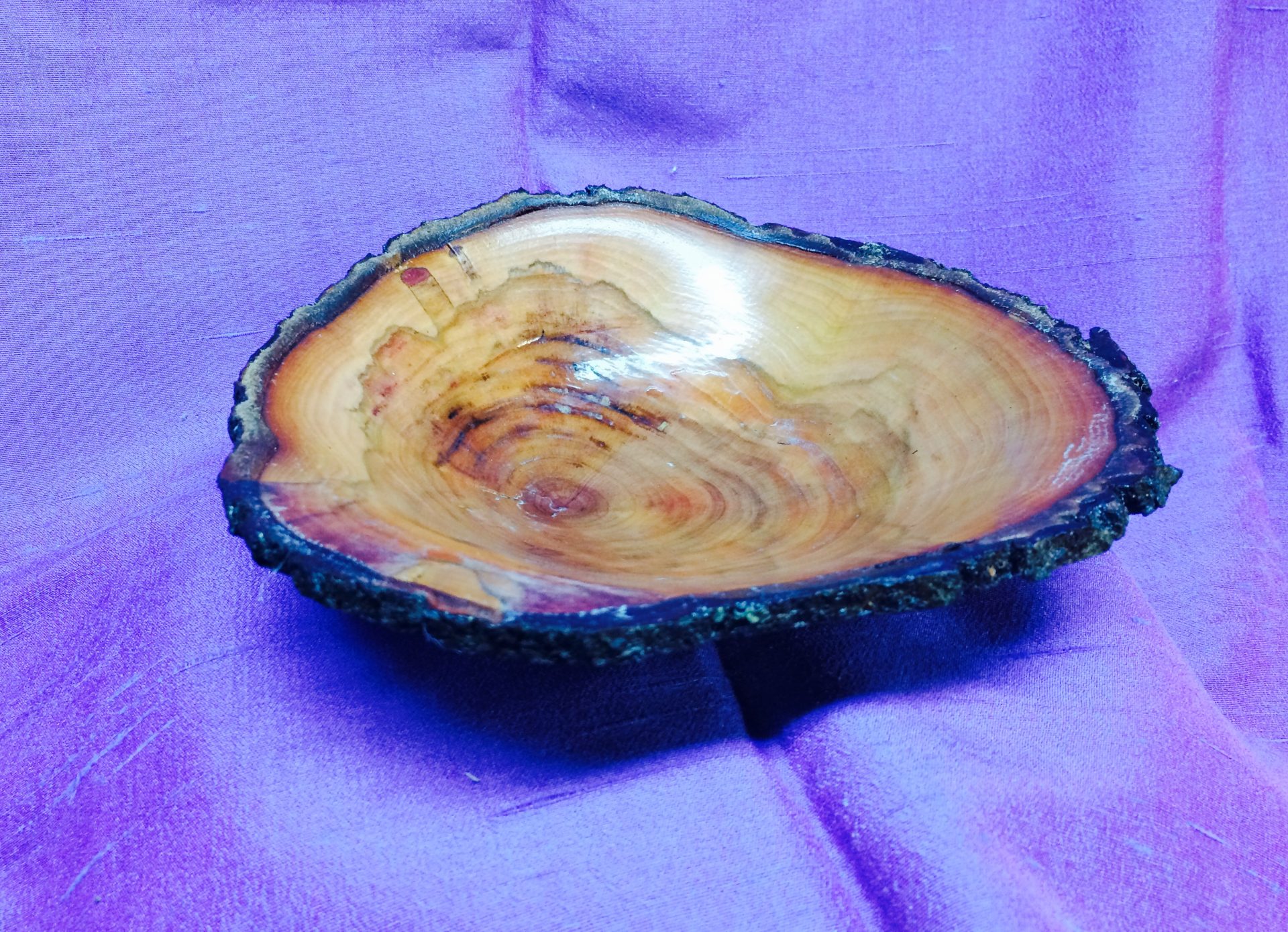 Cherry Burl Crosscut NE V