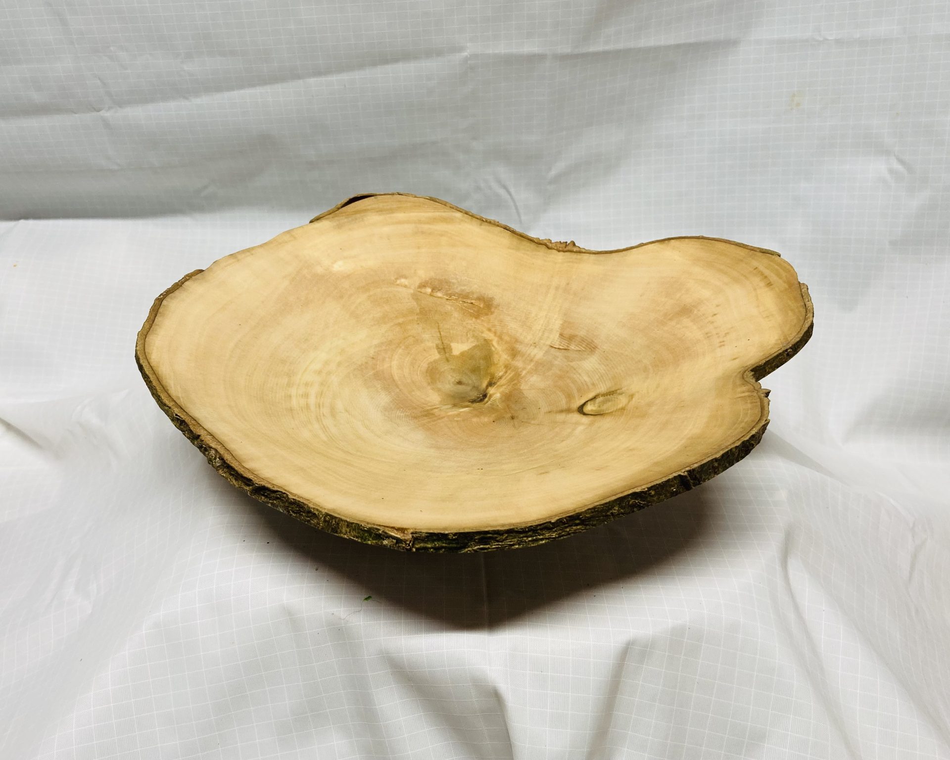 Holly Natural Edge Cross Cut
