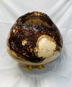 Maple Burl Hollow Form 12 by 11