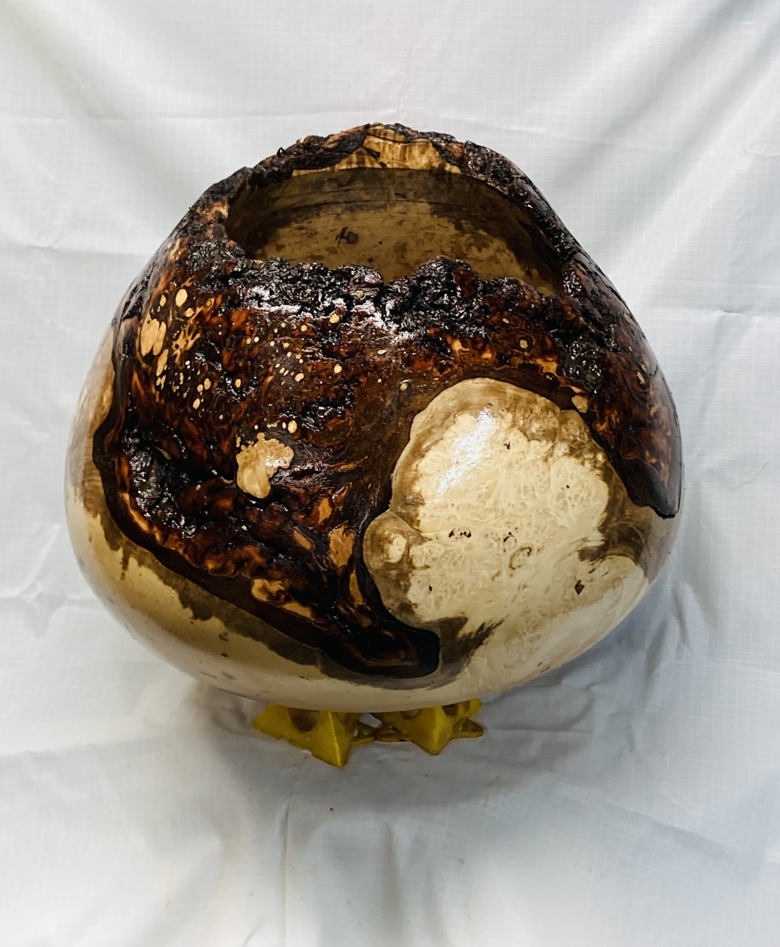 Maple Burl Hollow Form 12 by 11