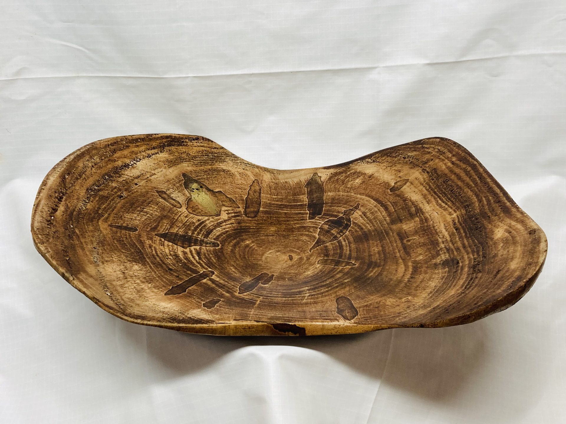Stained ambrosia maple crosscut