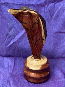 Lichtenberg Burn on Red Cedar with bark and Red Cedar Base