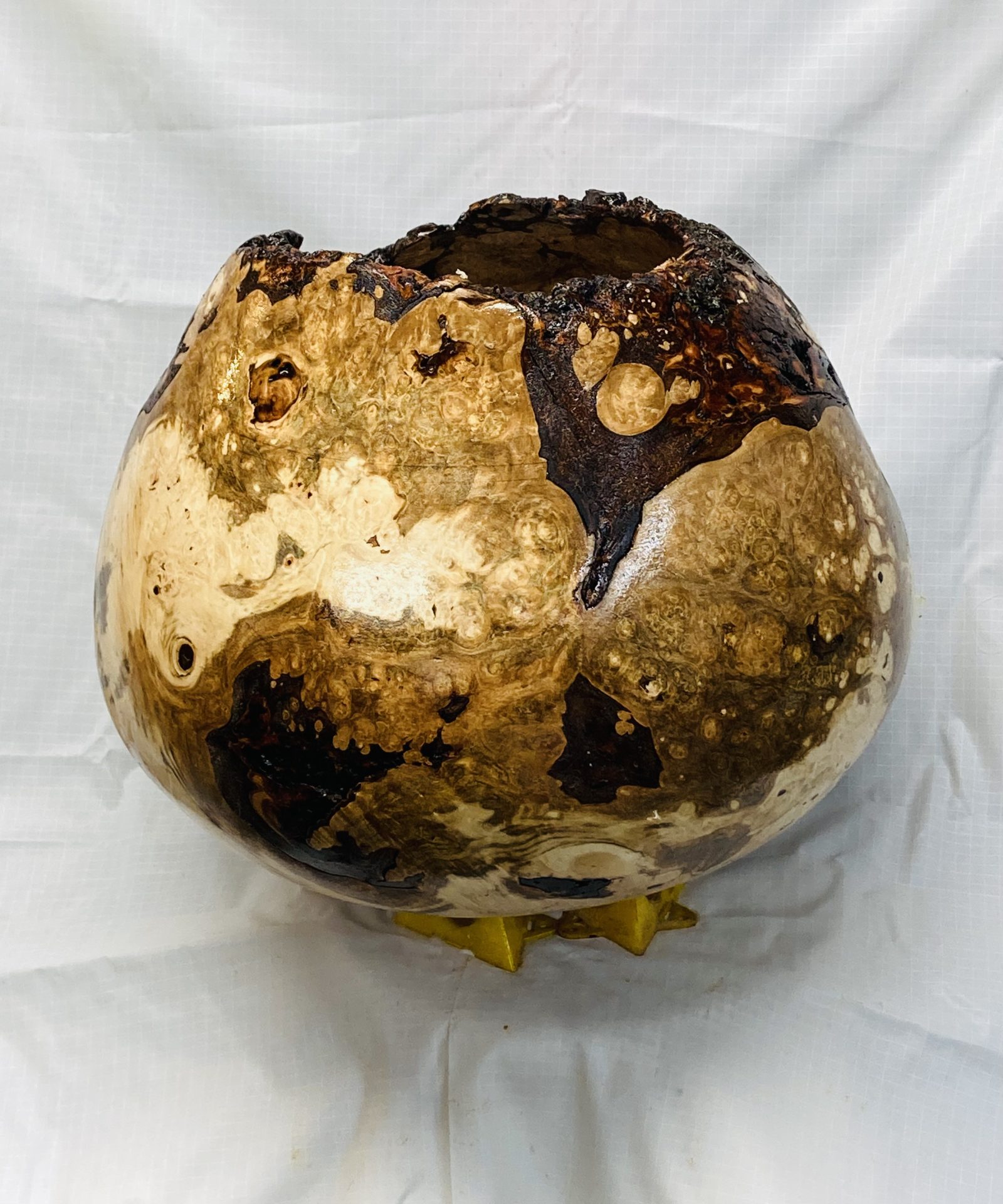 Maple Burl Hollow Form II