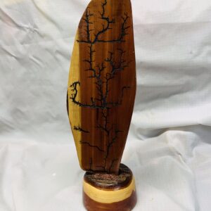 Lichtenberg burn display piece